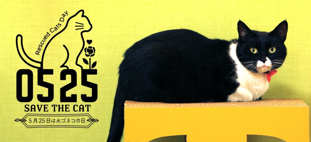 5月25日はホゴネコの日 ねこもぐらたたき大会に参加して保護猫支援 母でありデザイナーであり